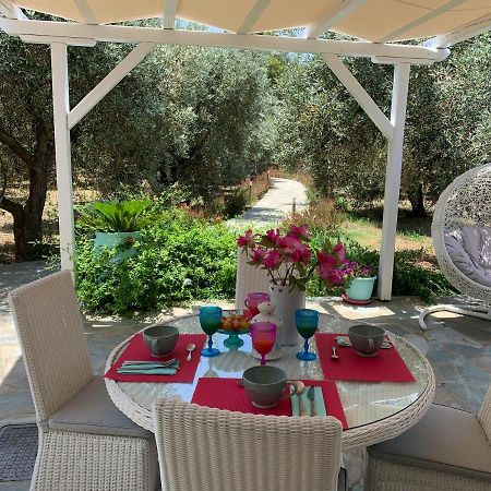 Alónnisos Chiqui Luxury Apartments מראה חיצוני תמונה