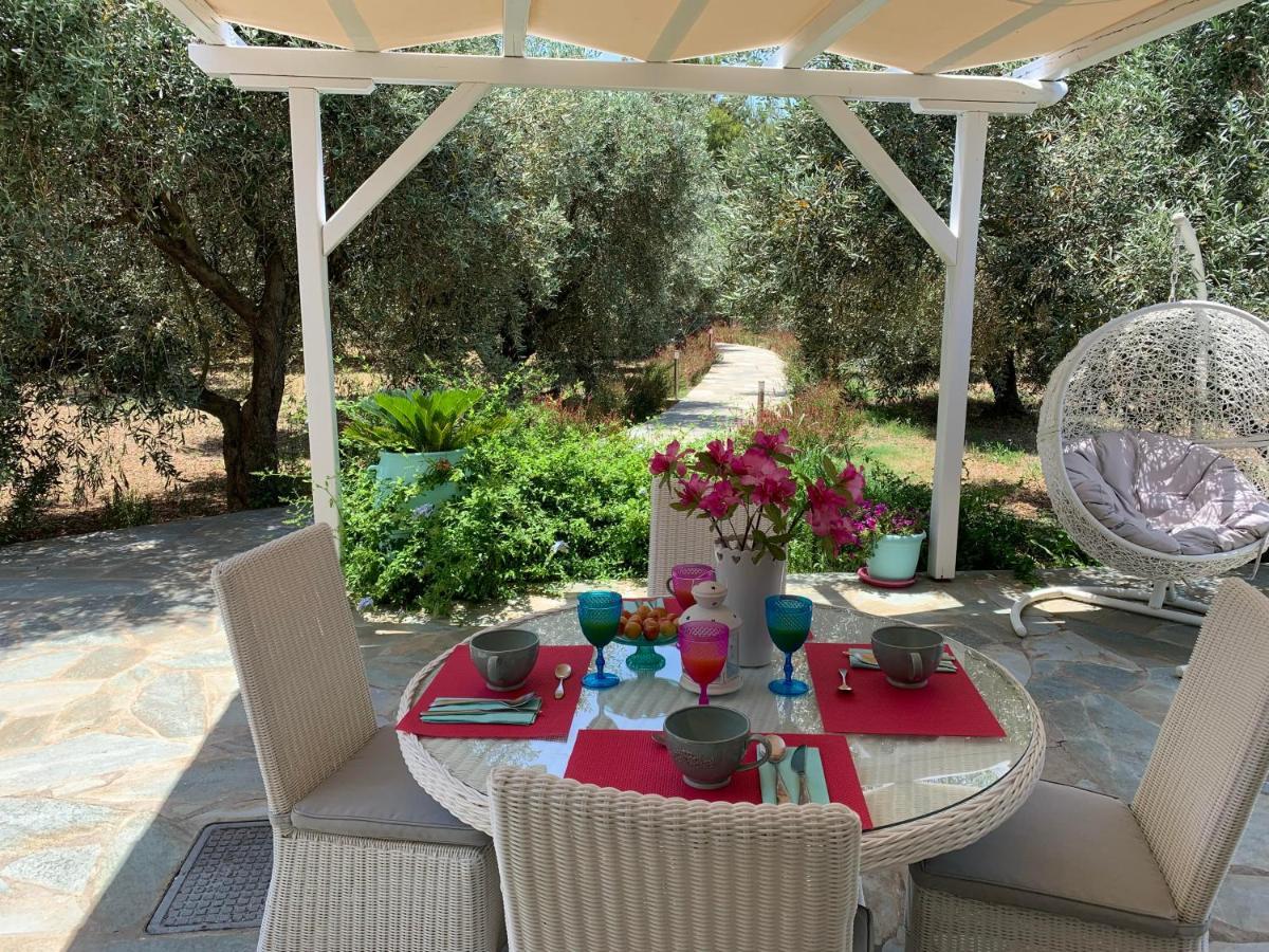 Alónnisos Chiqui Luxury Apartments מראה חיצוני תמונה