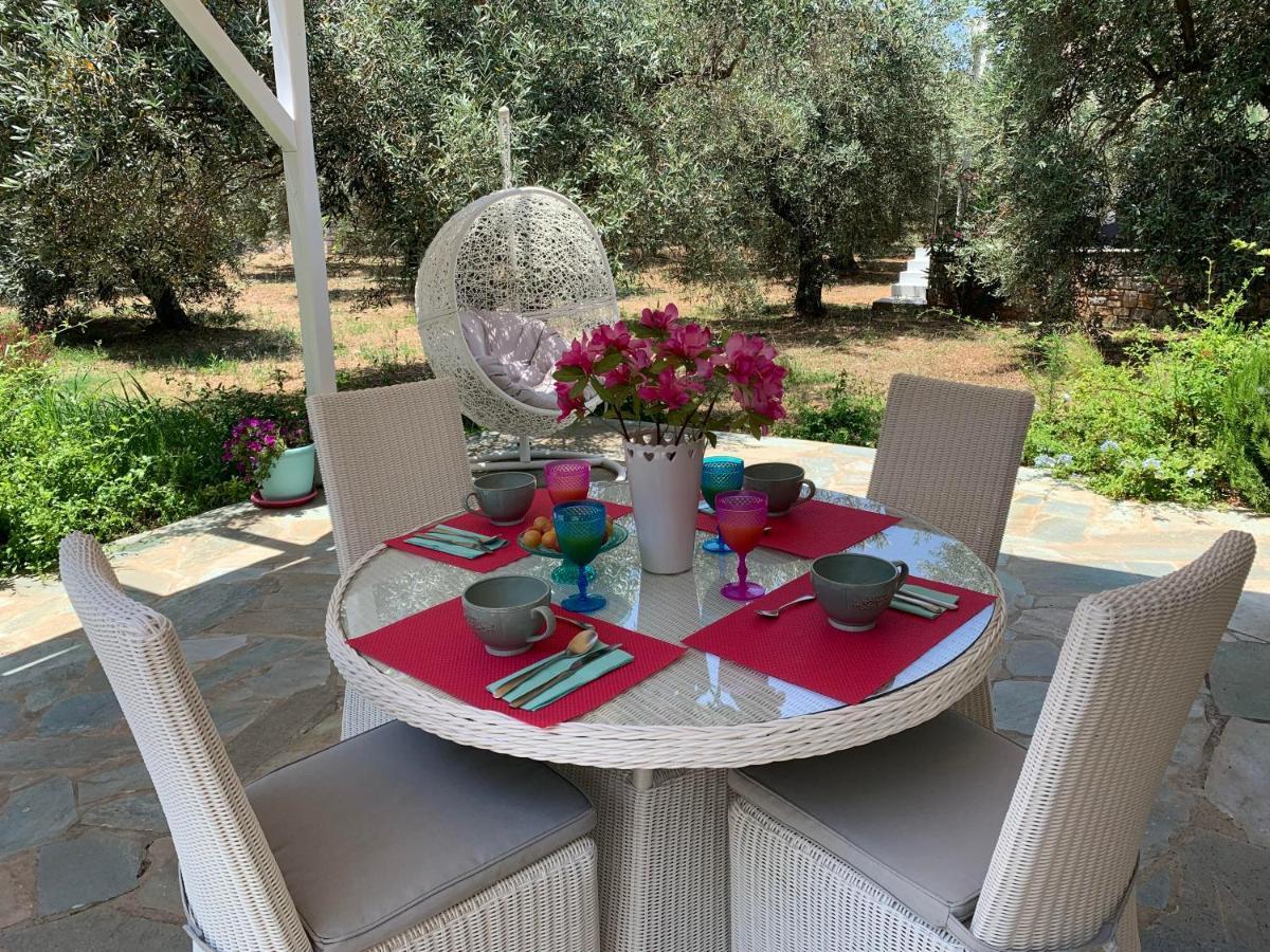 Alónnisos Chiqui Luxury Apartments מראה חיצוני תמונה