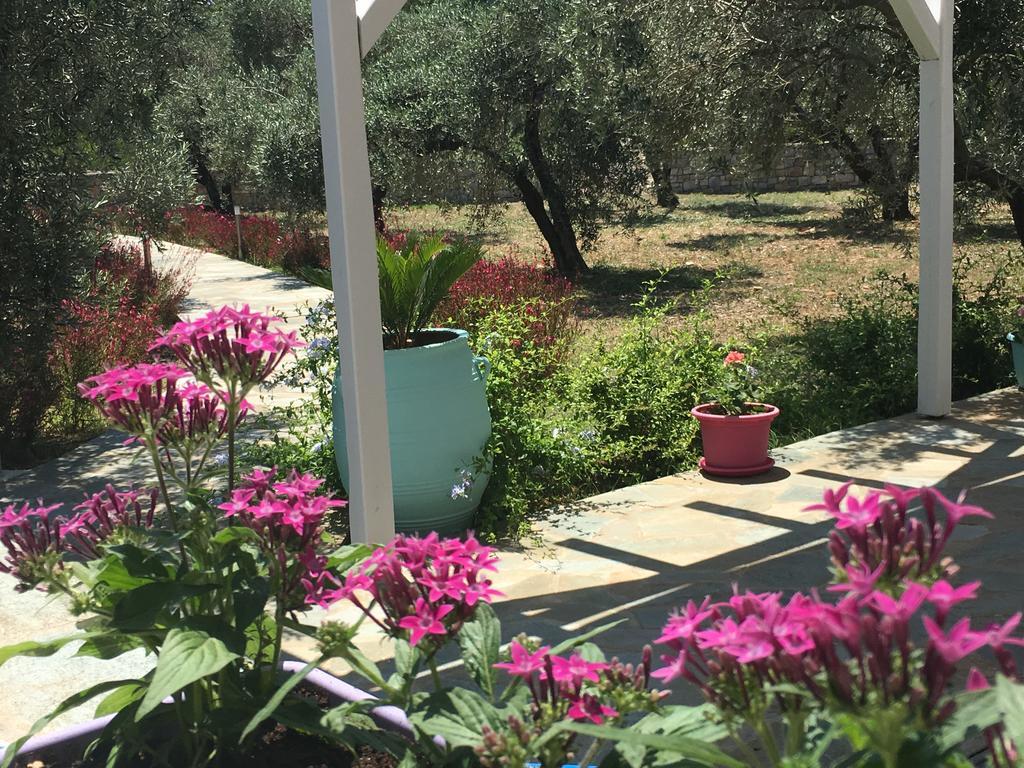 Alónnisos Chiqui Luxury Apartments מראה חיצוני תמונה